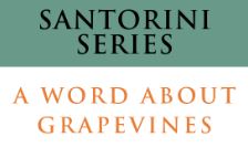A Word About Grapevines (Audio)